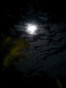 満月。月明かりがとても明るいです