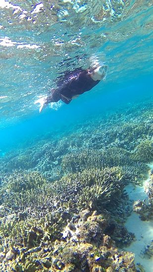 O西さんも余裕泳ぎです。