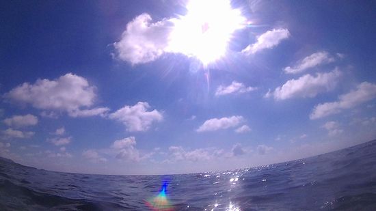 ぎらぎら太陽が照り付けています。