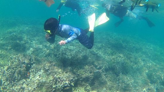 スグミ君、耳抜きをしながらドボンです