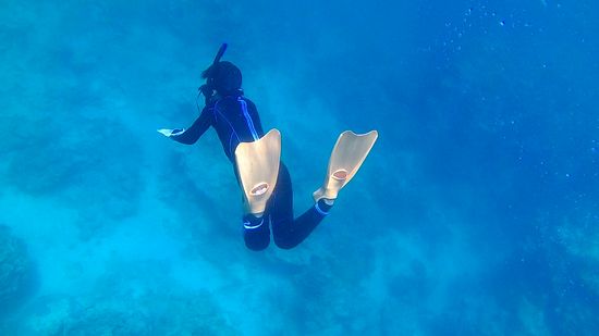 少しサポートをすると、