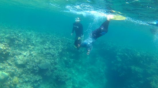 お父さんとスグミ君もがんがん潜っています。