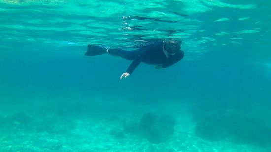 お父さんのシュノーケルスタイルは我が道を行く!スタイルです