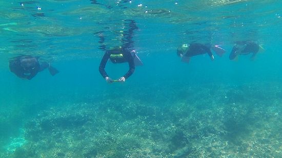 四名横並びでスタートです