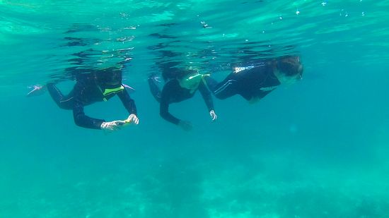 女性チームは、まとまって動いています。