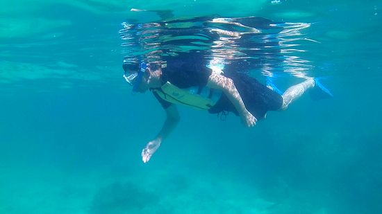 お父さん、マイペースに泳いでいます。