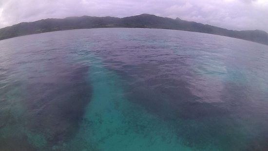 あいにくの曇り小雨パラパラの天気です