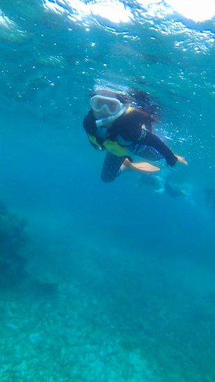 コユキちゃん、余裕の泳ぎです