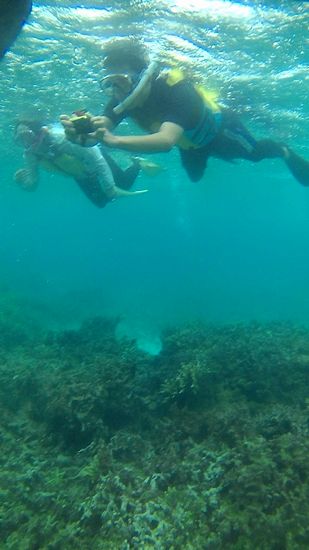 お父さんとお母さんもマイペースです