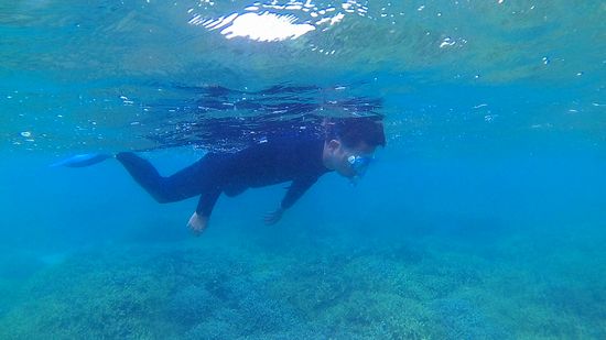 旦那さんも楽しんでいます。