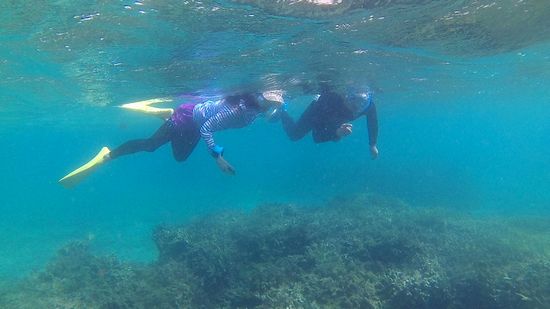 さぁコースを回っていきます。