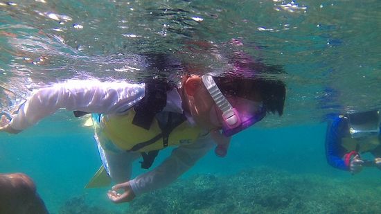 コハルちゃん、海を楽しんでいます。