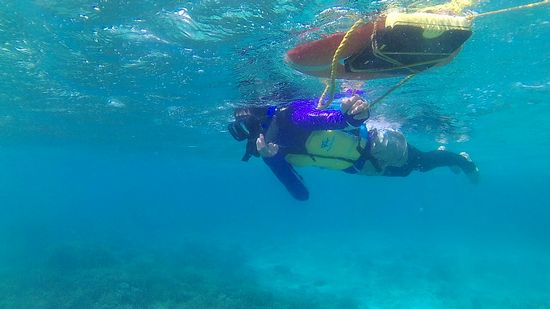 お母さんもお魚さん眺めています。