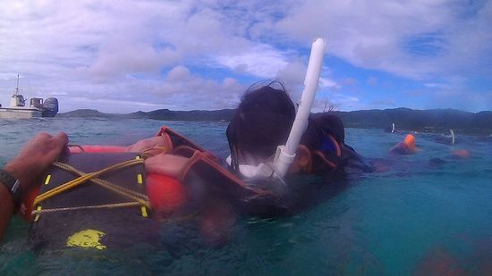 さぁ勇気をふり絞って顔をつけてみます