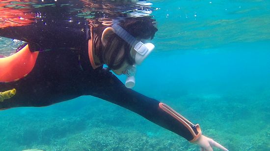 慣れてくれば、大丈夫！お魚さんを指さしています。