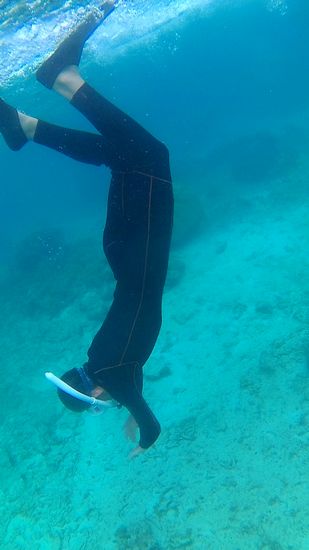 フリータイムでは、素潜りです