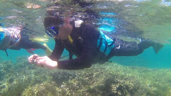 お父さんは、撮影です