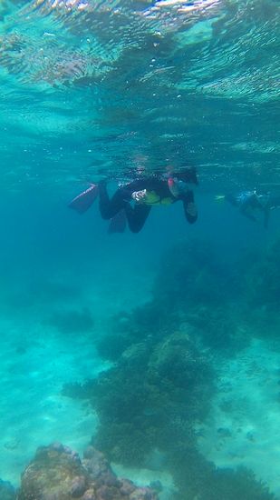 お姉さんも活発な動きです