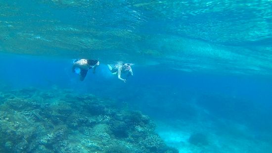 さぁ流れはありますがたくましい泳ぎのAさんとO形さんです。