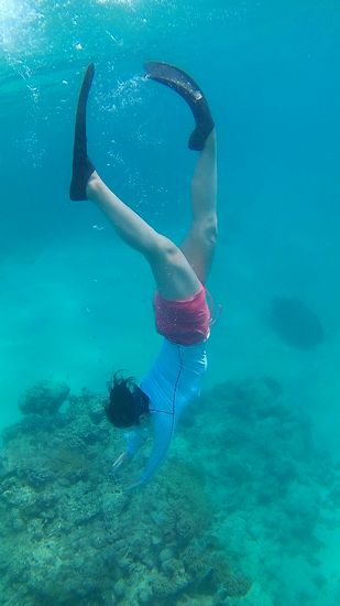 素潜りを楽しむI本さんです。