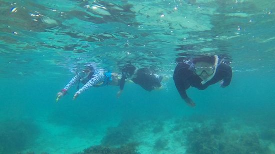 二組三名様で半日シュノーケル