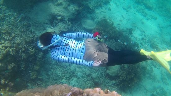 活発に素潜り、楽しんでいます。