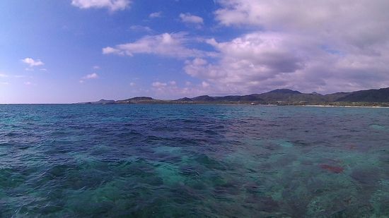 晴れたり曇ったり小雨です
