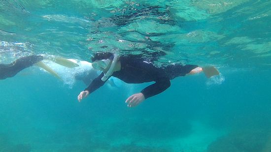 口呼吸、マスターのK島さん