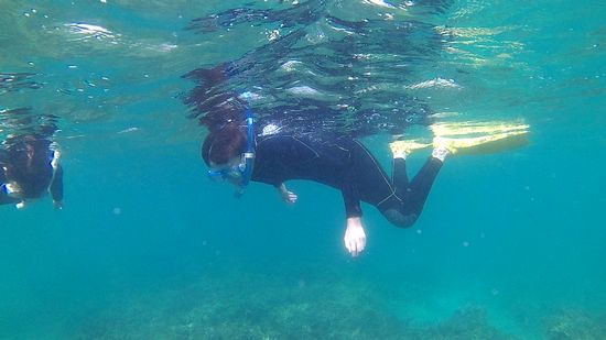 初めてのシュノーケルの奥さんも余裕です