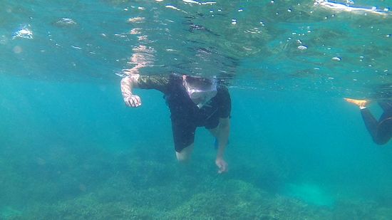 旦那さんも楽しんでいます