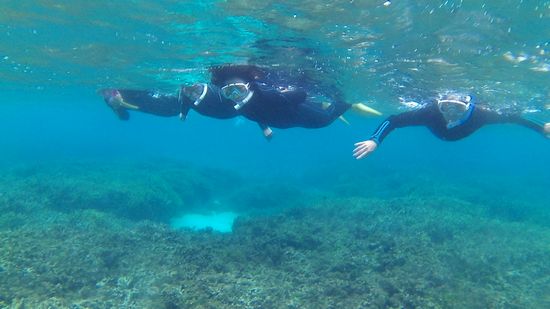 皆さん余裕の泳ぎです