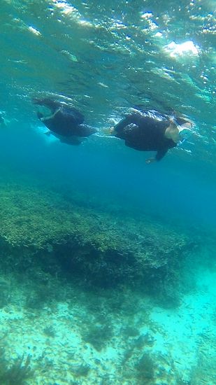 I村さんとO保さん