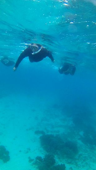 O倉さんとN木さんです