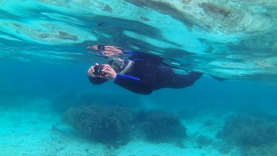 水中カメラを楽しむ旦那さん