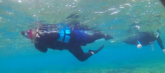 ベテランI上さんです