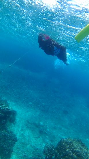 リピータI上さんです