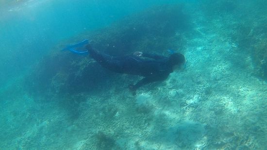 お父さんもドボンとかっこよいです