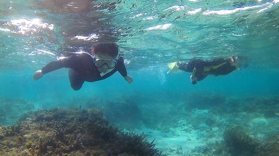 初めてのシュノーケルでも大丈夫です