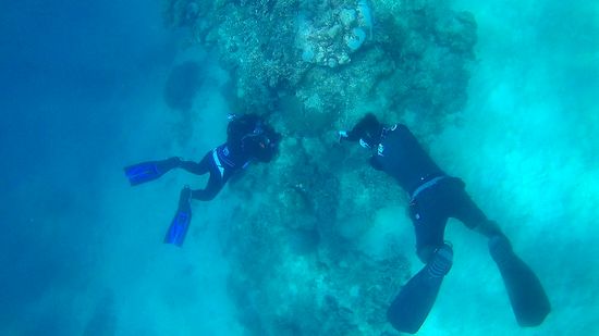 スキンダイビングリクエストのお二人は