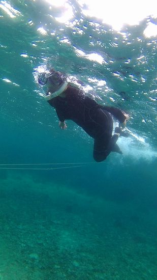 さぁ軽やかフィンキックのM村さん