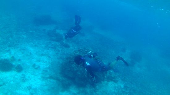 すぐに素潜り合戦です