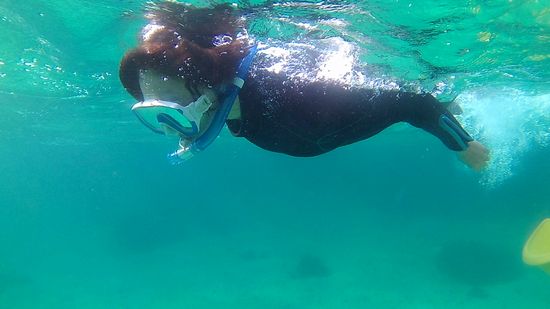 軽やかフィンキックですいすいです