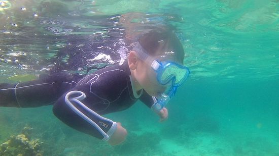 ワク君、マスクデビュー成功ですね