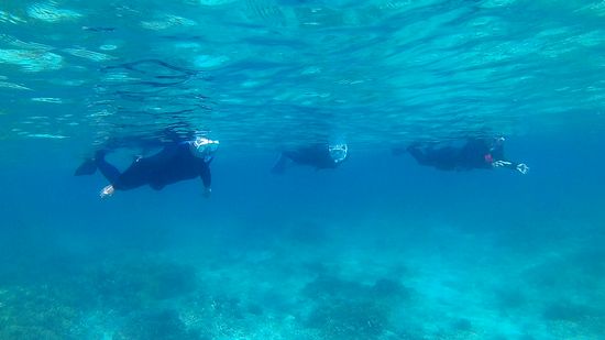 透明度抜群です