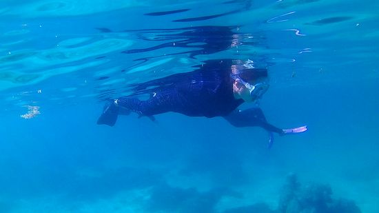 Rさんのんびりゆったりです