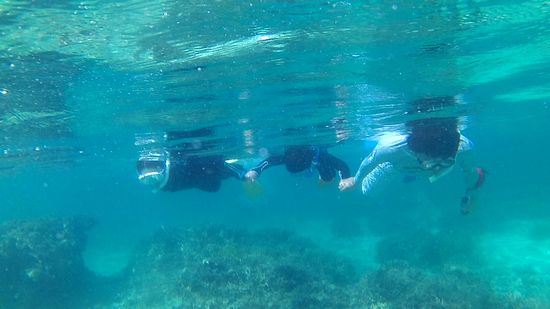 お父さんも一緒に三人で泳いでいます