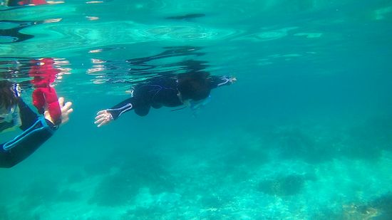 最後は、独り立ちです♪