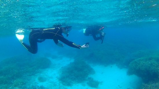 入水チェックは、完了です