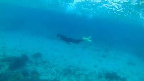 綺麗なフォームで素潜りドボンです