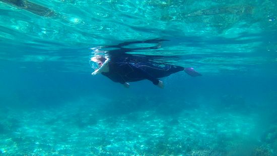 リピーターR神さんです。